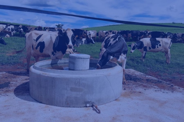 Tecnologias para o agronegócio! 